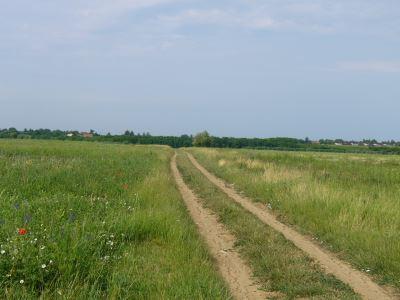 Tartasesti teren agricol de vanzare 35 ha/5600 euro/ha - Pret | Preturi Tartasesti teren agricol de vanzare 35 ha/5600 euro/ha