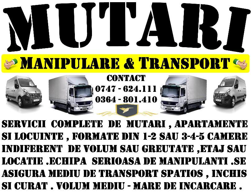 Mutari apartamente cu 1-2 si 3-4-5 camere - Pret | Preturi Mutari apartamente cu 1-2 si 3-4-5 camere