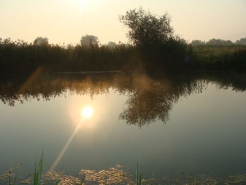 vand teren langa lac Natura Parc - Pret | Preturi vand teren langa lac Natura Parc