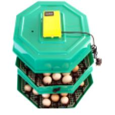 Incubatoare de oua - Pret | Preturi Incubatoare de oua